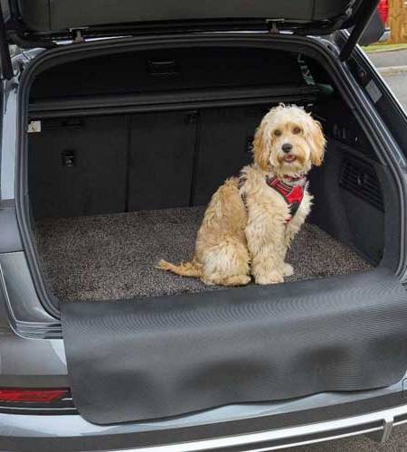 Car-Boot-and-Bumper-Protector-Mat---002